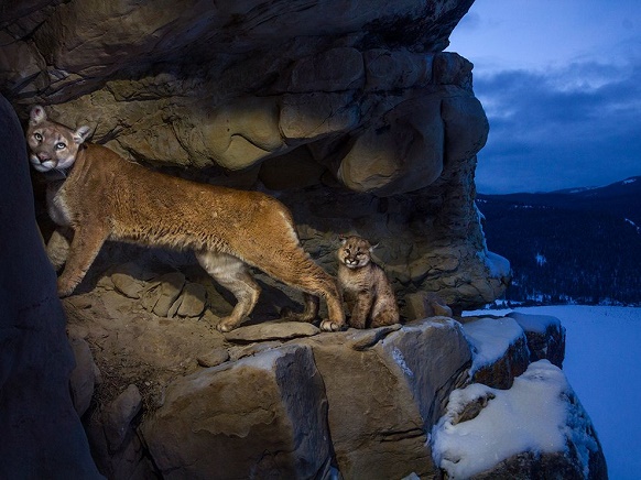 "National Geographic's photo of the day": 5th January
