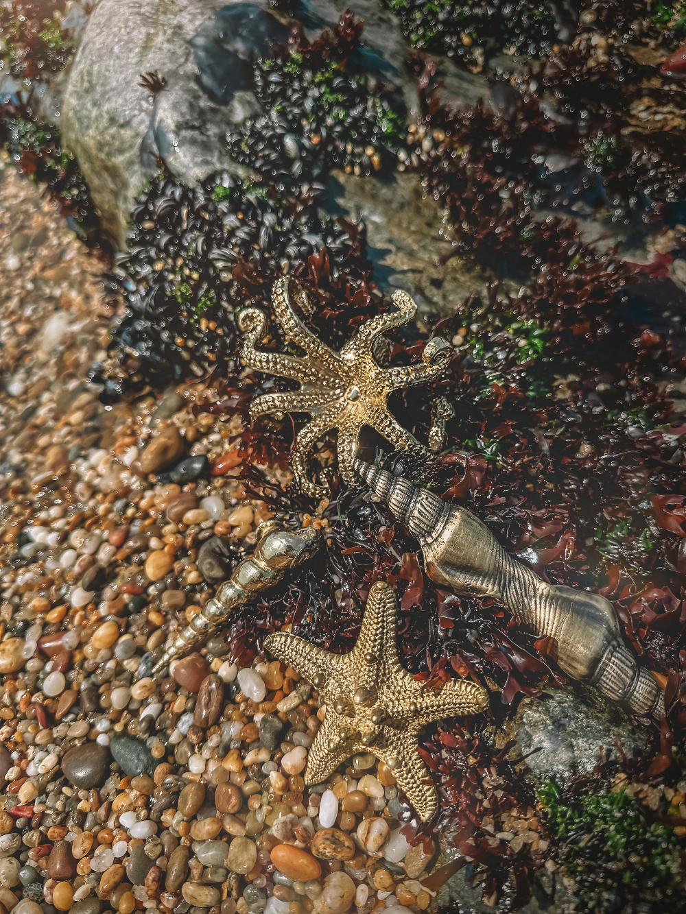 Summer Trends 2025: Top Ideas for a Sublime Decor Scheme