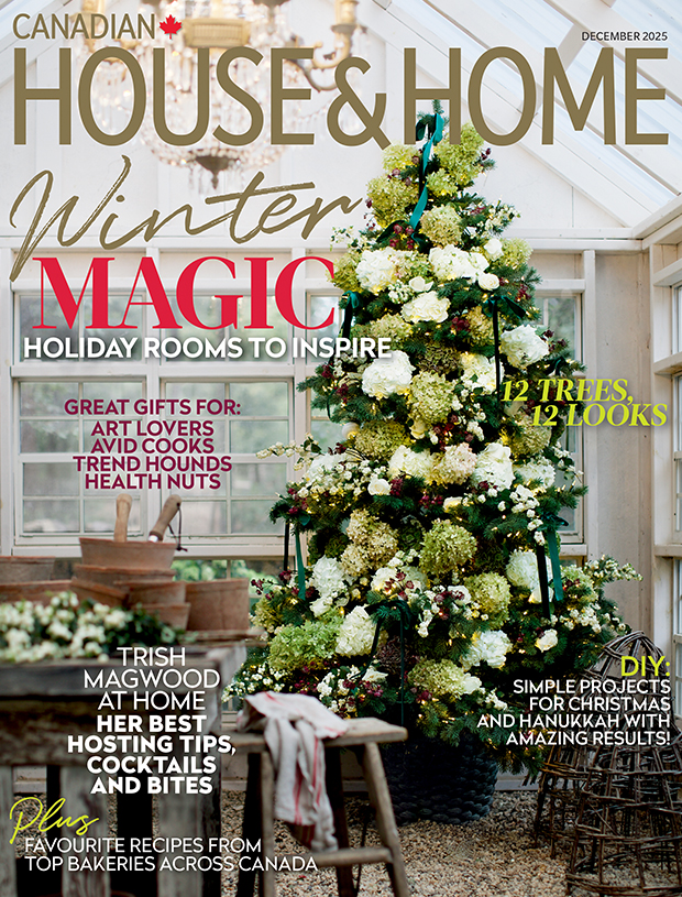 Christmas Decor Special: The Best Reads for the Season! (PART II)