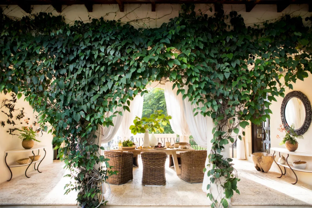 Inside Australia’s Most Influential Interior Design Magazines