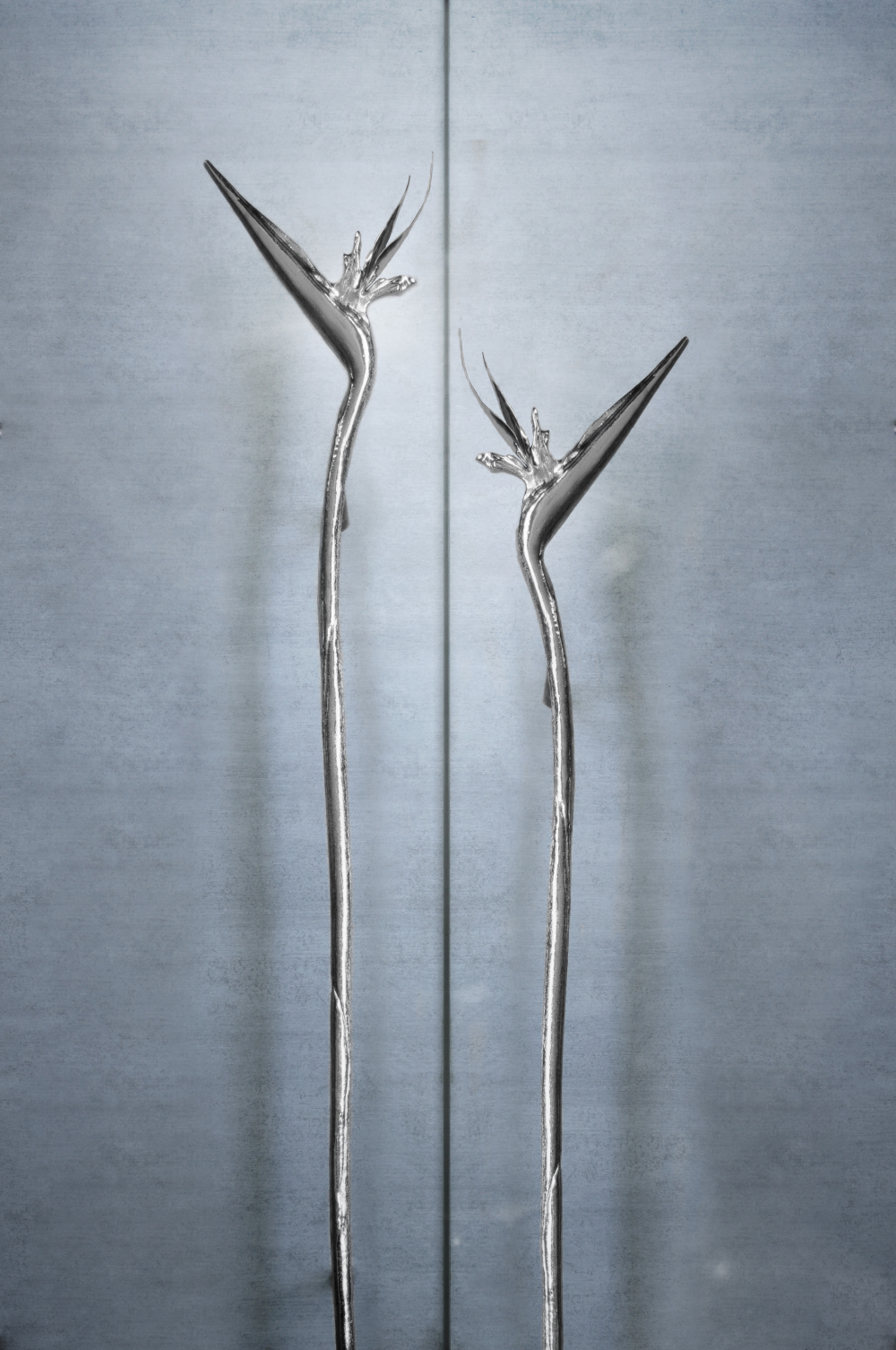 Discover Strelitzia: A Perfect Spring Design for Seasonal Magazines